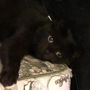 Meet your Posher, Nancy